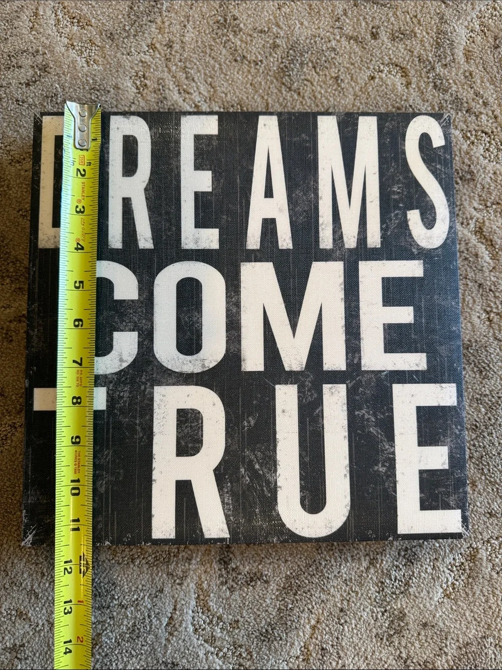 Black & White 'Dreams Come True' Wall Topography Canvas Art